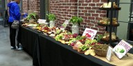 Augusta Locally Grown hosts Harvest at the Hub fundraiser