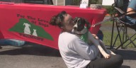 Hackett’s Orchard puts on a pet adoption event