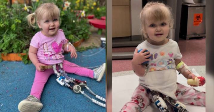 No dejará de latir: Niña de 2 años de edad en Illinois recibe trasplante de corazón