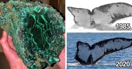 50 Times People Spotted Something Magnificent In The Nature And Had To Share It Online