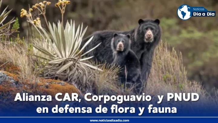 Alianza CAR y Corpoguavio para proteger fauna en sus territorios
