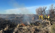 Incendio de pastizales en Ruta 7