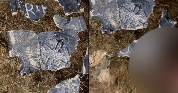 Macabro hallazgo en Puerto Montt: perro fue quemado vivo en presunto ritual satánico