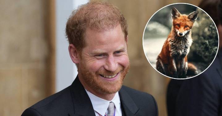 EXCLUSIVE: Prince Harry's 'Insecurities Exposed'