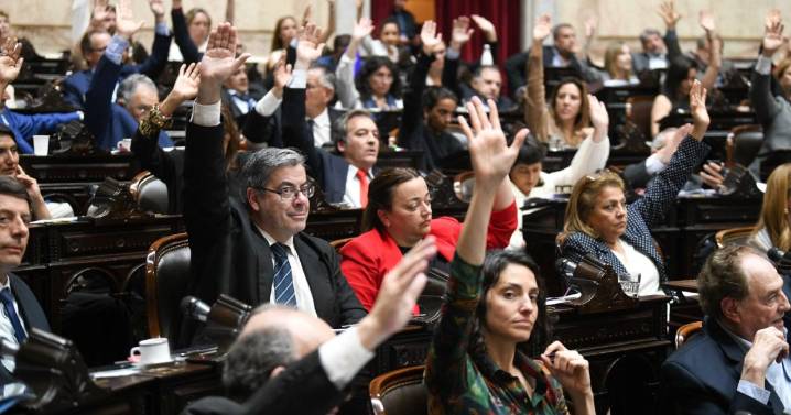Nuevo golpe a Milei: cómo hizo la oposición para voltear los vetos a las leyes de universidades y Garrahan