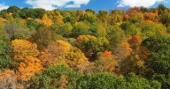 Map shows leaves are already starting to change across western Pennsylvania