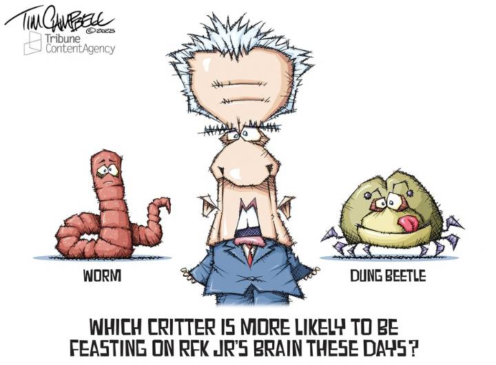 Cartoon: Sh-t for brains