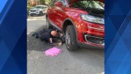 Kitten rescued from car engine compartment by Penn Hills officer