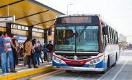 Día del Colectivero: una profesión que conecta ciudades y motoriza historias