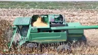 Flash drought causing trouble for Alabama soybean farmers