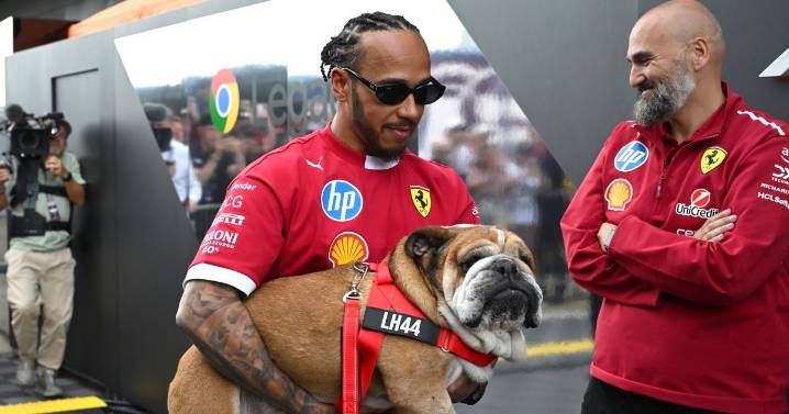 Lewis Hamilton's dog Roscoe dies in F1 star's arms as he shares devastating news
