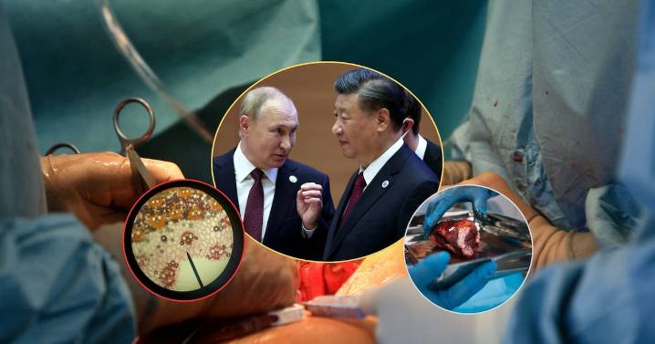 Filtran audio de conversación entre Putin y Xi Jinping donde discuten cómo hacerse inmortales con trasplantes de órganos