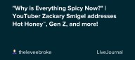 "Why is Everything Spicy Now?" | YouTuber Zackary Smigel addresses Hot Honey™️, Gen Z, and more!: ohnotheydidnt — LiveJournal