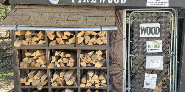 Why buying local firewood can limit the spread of invasive species