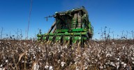 Georgia farmers will get $531M in Hurricane Helene aid, but the deal's not done yet