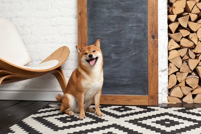 Could Shiba Inu Reach $1 in 2026? The Answer Might Blow Your Mind