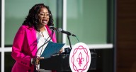 Two politicians sue St. Louis County councilwoman, claiming she started fight with them