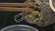 Michigan dispensary CEO pushes against 24% marijuana tax hike proposal
