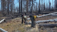 Firefighter dies while working Dragon Bravo Fire