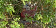 Homewood Public Safety Committee to draft ordinance around encampments