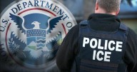 New Chicago immigration campaign prompts confusion as city braces for federal intervention