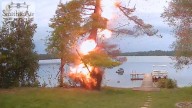 Dramatic video shows lightning strike exploding tree in Wisconsin