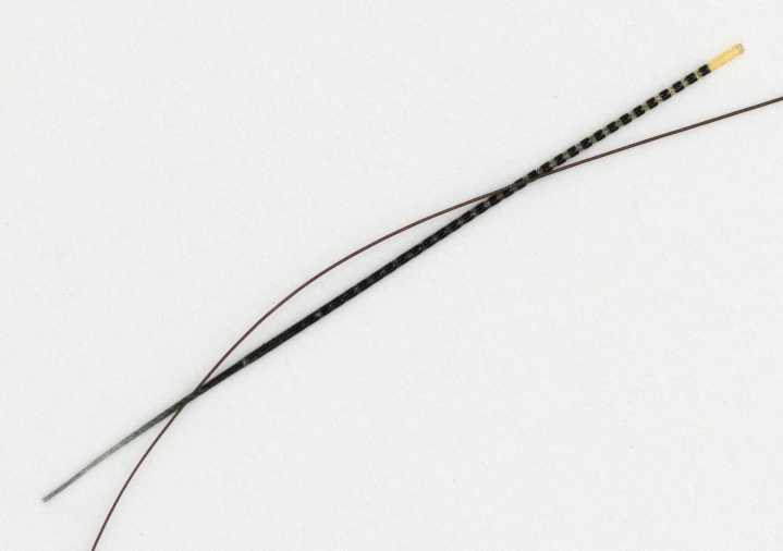 NeuroString: Tiny Implantable Fibers Could Change Brain and Gut Medicine