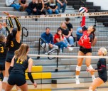 Volleyball: Tehya Knapp powers Yorkville past Metea Valley
