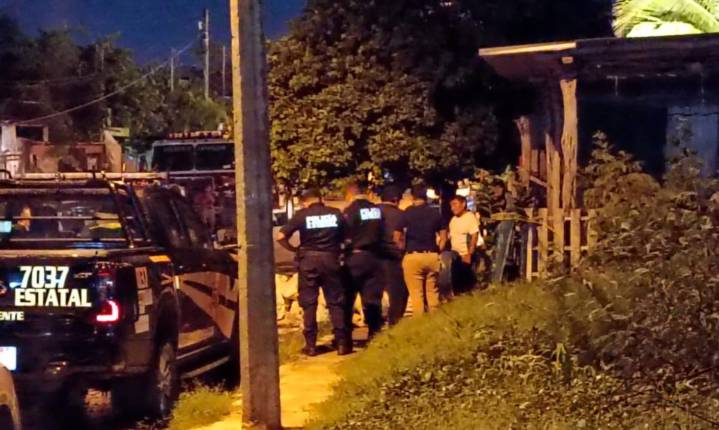 ABEJAS ASESINAS DEJAN UN MUERTO Y VARIOS HERIDOS