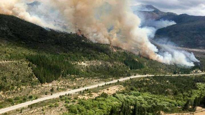 Presupuesto 2026: el Gobierno asignó el número más bajo de la historia para la protección de bosques nativos