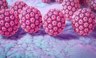La lucha contra el HPV: información y prevención, la clave de todo