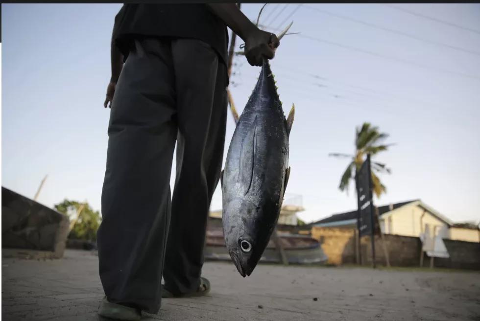 Entra en vigor el acuerdo global de la OMC para reducir la sobrepesca