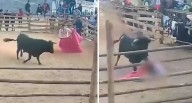 Toro embiste mortalmente a torero aficionado durante fiesta en Apurímac