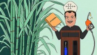 Losing mileage: Gadkari's ethanol mix creates political rift and public ire