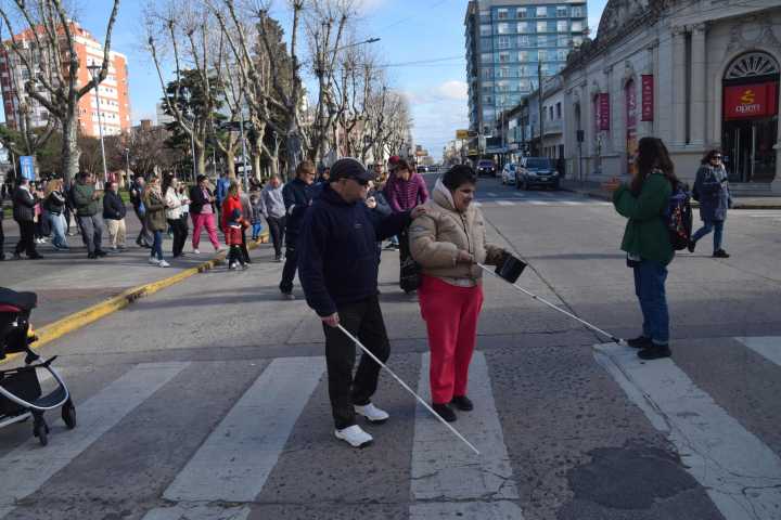 Actualización de prestaciones y de pensiones: los principales puntos de la ley de Discapacidad