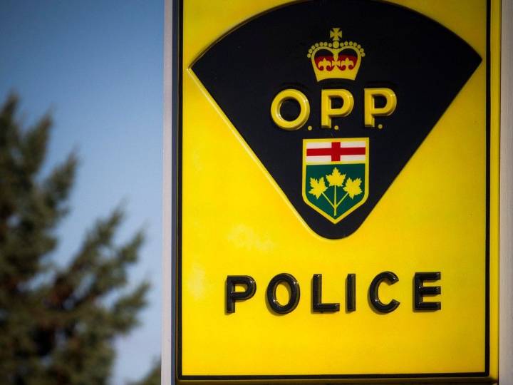 Man arrested in Ottawa charged with Renfrew sex assault