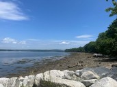 Now is the time to protect Sears Island from industrialization