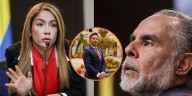 Catherine Juvinao y Armando Benedetti protagonizaron un rifirrafe por la suspensión provisional de Juan Carlos Florián: “Eres pura bulla”