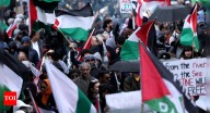 Palestine to join Brics? Envoy submits application