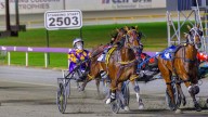 RACING 
                                          Comments
                                        
                                          Premium
                                        Ideal 