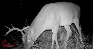 Hunters rally around program
