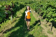 Musicalizar vinos y viñedos: la ciencia y los mitos de esta práctica