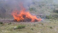 Incineran más de 187 kilos de drogas decomisadas en San Luis Potosí