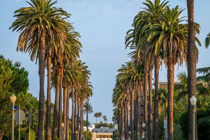 Shake Shack: Hitting The Buy Zone Again With Strong Momentum In LA (NYSE:SHAK)