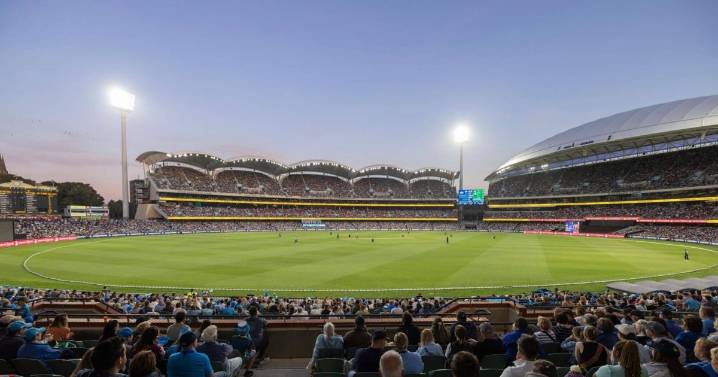 TokenFi Takes Sponsorship Role for England’s T20 Matches