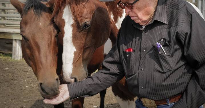 ‘Show will still go on’: Legendary Alberta stuntman, animal wrangler to receive award