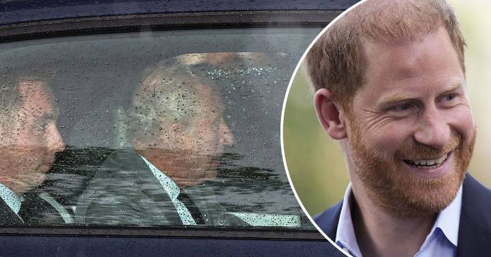 Prince Harry and King Charles reunite for the first time in 18 months in short meeting