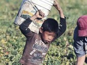 Cifras del trabajo infantil impactaron en Uruguay