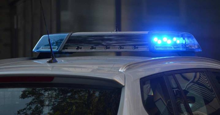 Hallan seis cuerpos en Jalisco; investigan si fueron asesinados en Zacatecas