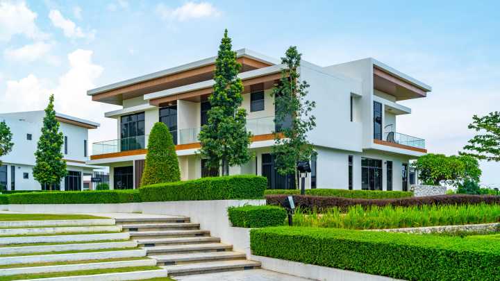 The Budget-Friendly Shrub That Makes Your Home Entrance Hedge Look High End